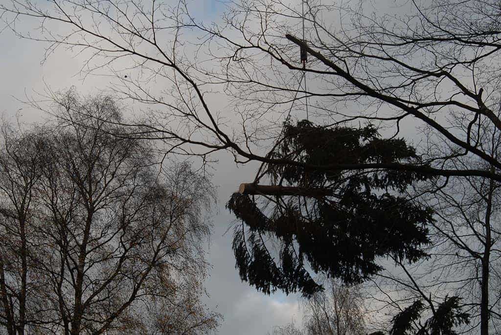012geldrop/opruimen van bomen na storm, eindhoven tilburg breda den bosch.JPG