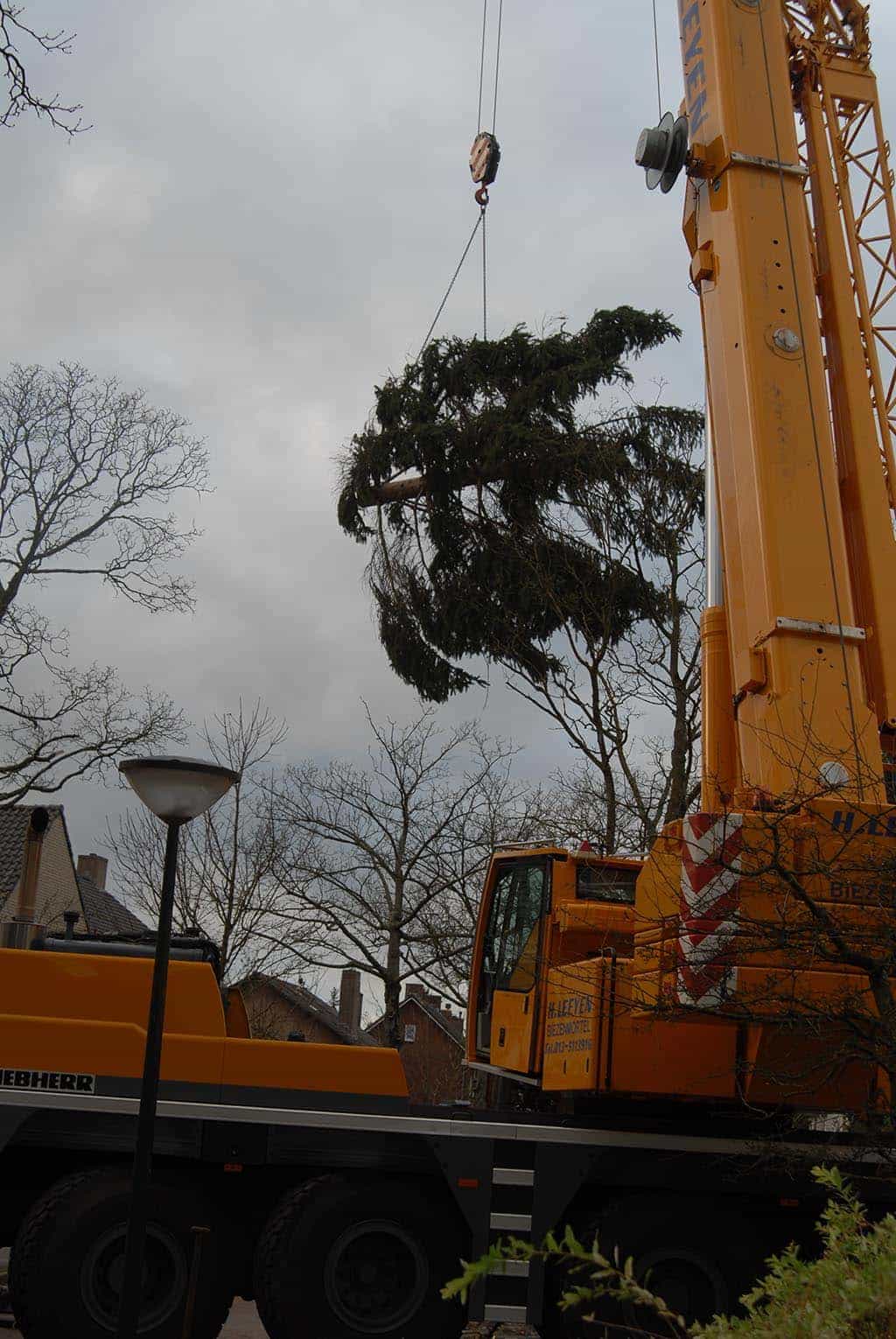 012geldrop/opruimen van gevallen bomen na storm, eindhoven best geldrop waarle.JPG
