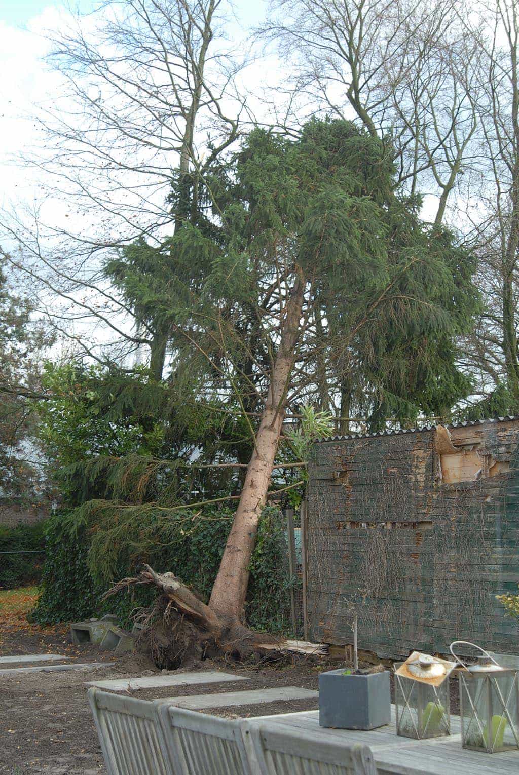 012geldrop/opruimen van stromschade bomen in tilburg.JPG