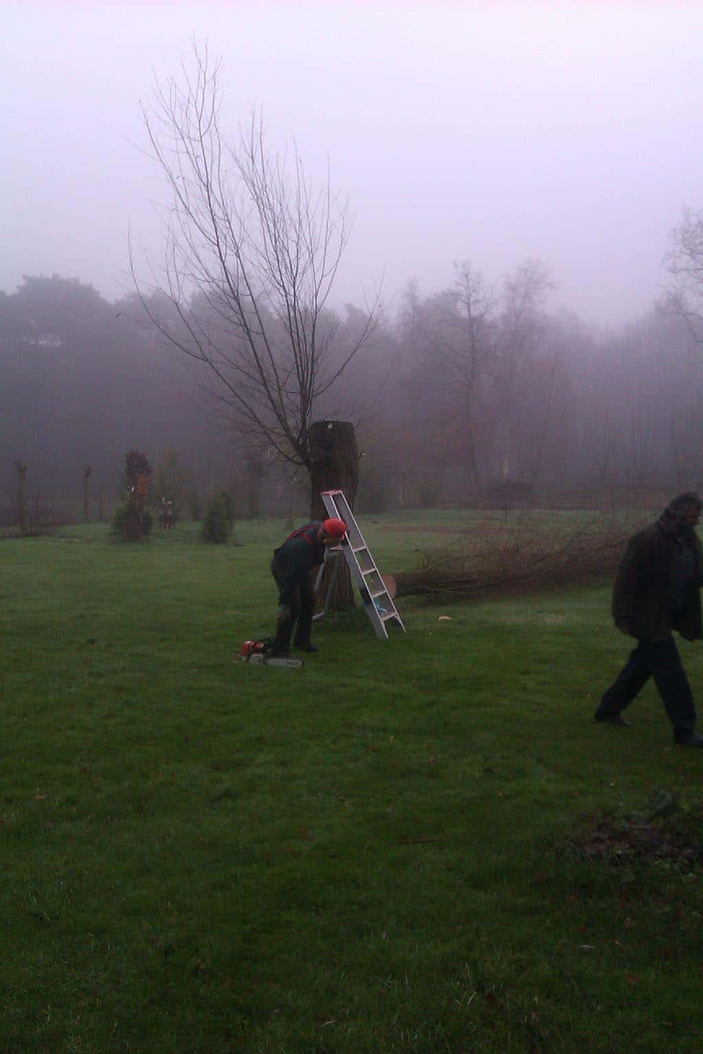 012geldrop/rooien en kappen van bomen in moergestel