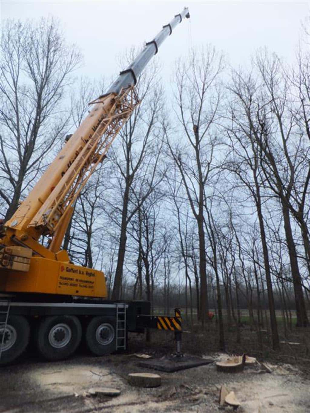 019sluishill/bomen rooien en kappen in Goes.JPG