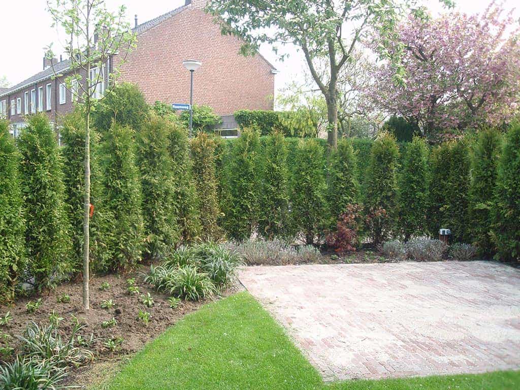 023 tim van laarhoven/het planten van een coniferen haag in vught.JPG