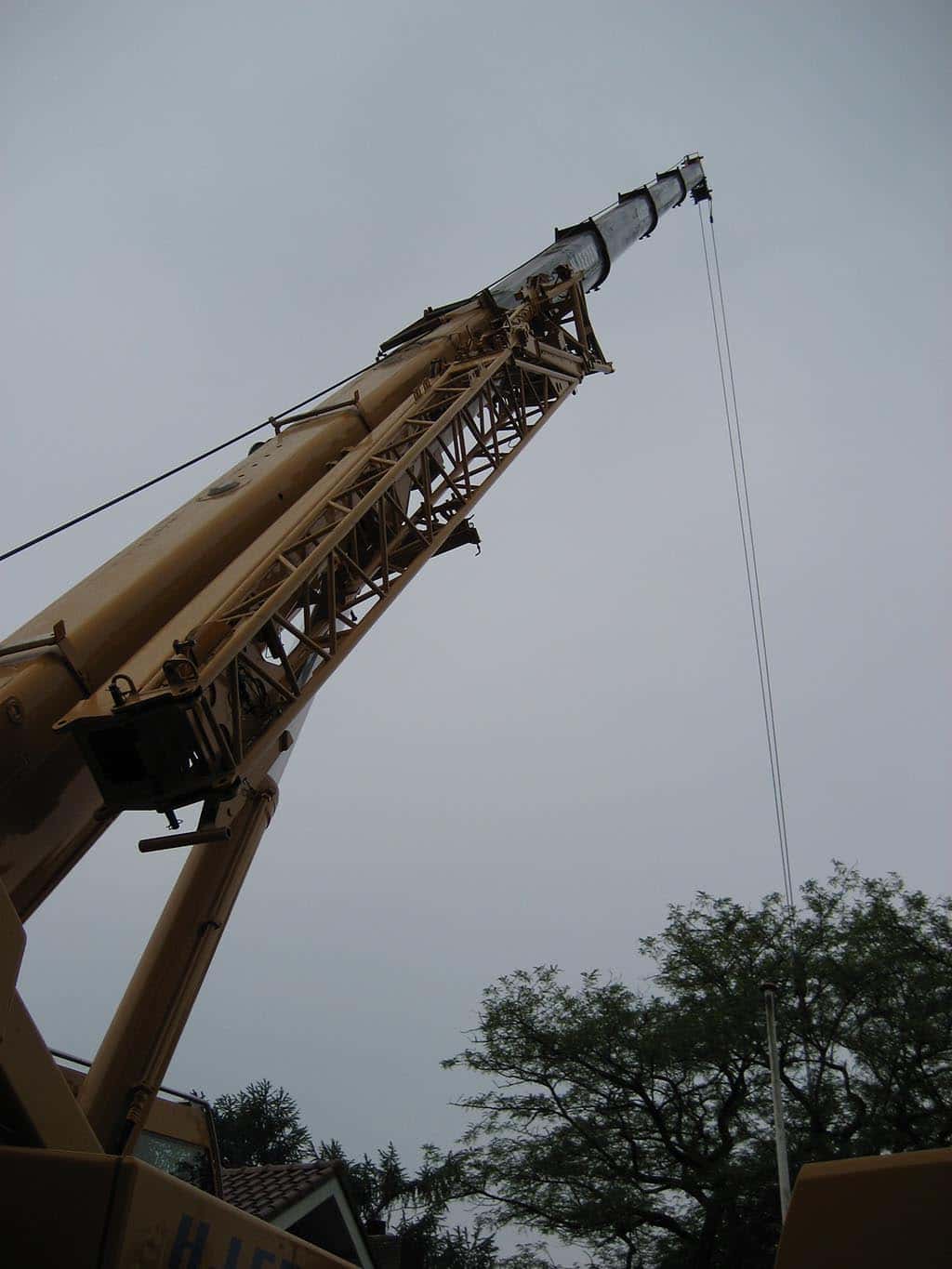 028 acacia boom rooien/boomrooierij weijtmans (2).JPG