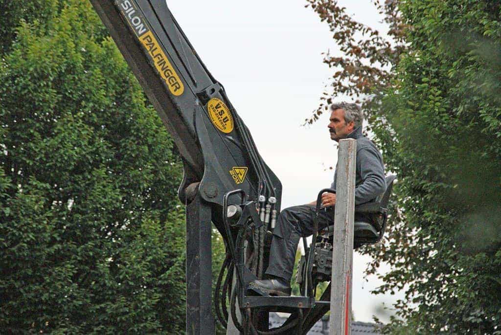02drunen/kosten bomen rooien wat is de kostprijs van bomen rooien