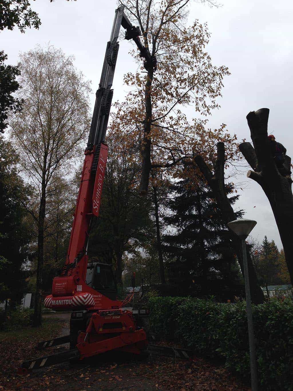 042vijver/10 Utrecht bomen rooien hilvarenbeek esbeek 057.JPG