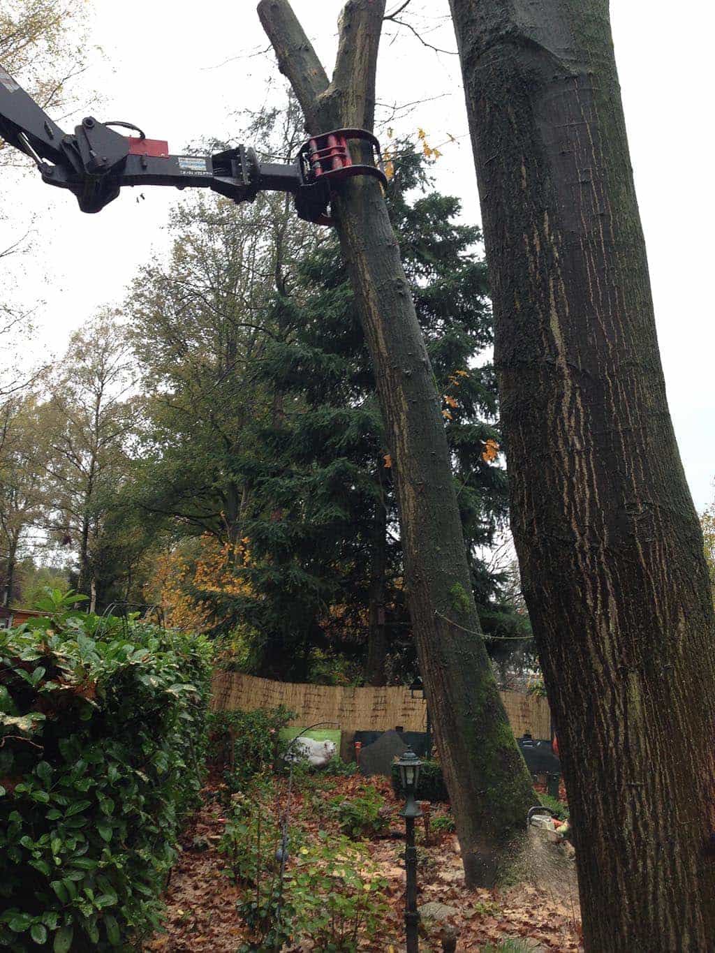 042vijver/12 Vegehel bomen rooien hilvarenbeek esbeek 066.JPG