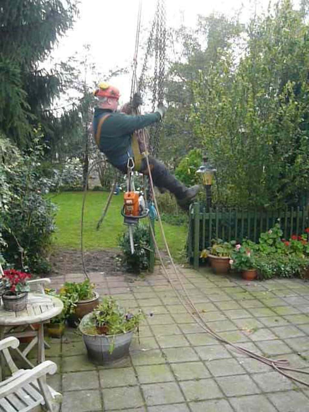1 a rooien van bomen knotten van bomen in nijmgen arhem goirle best ulvenhout gilze rijen
