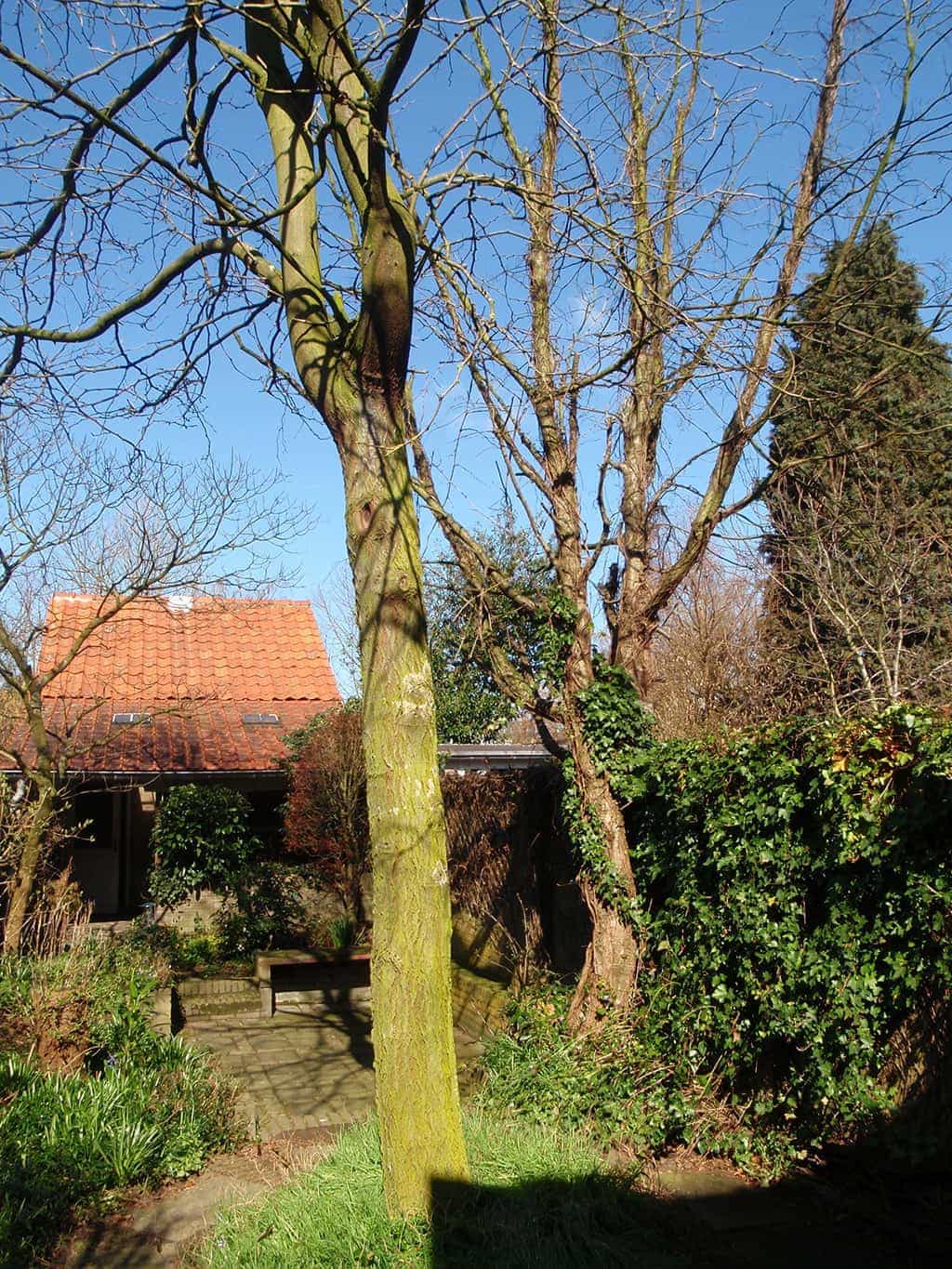 P3190487