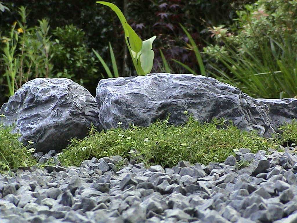boezer/3 split en sagina subulata. japanse uitrstraling tuin. waalwijk