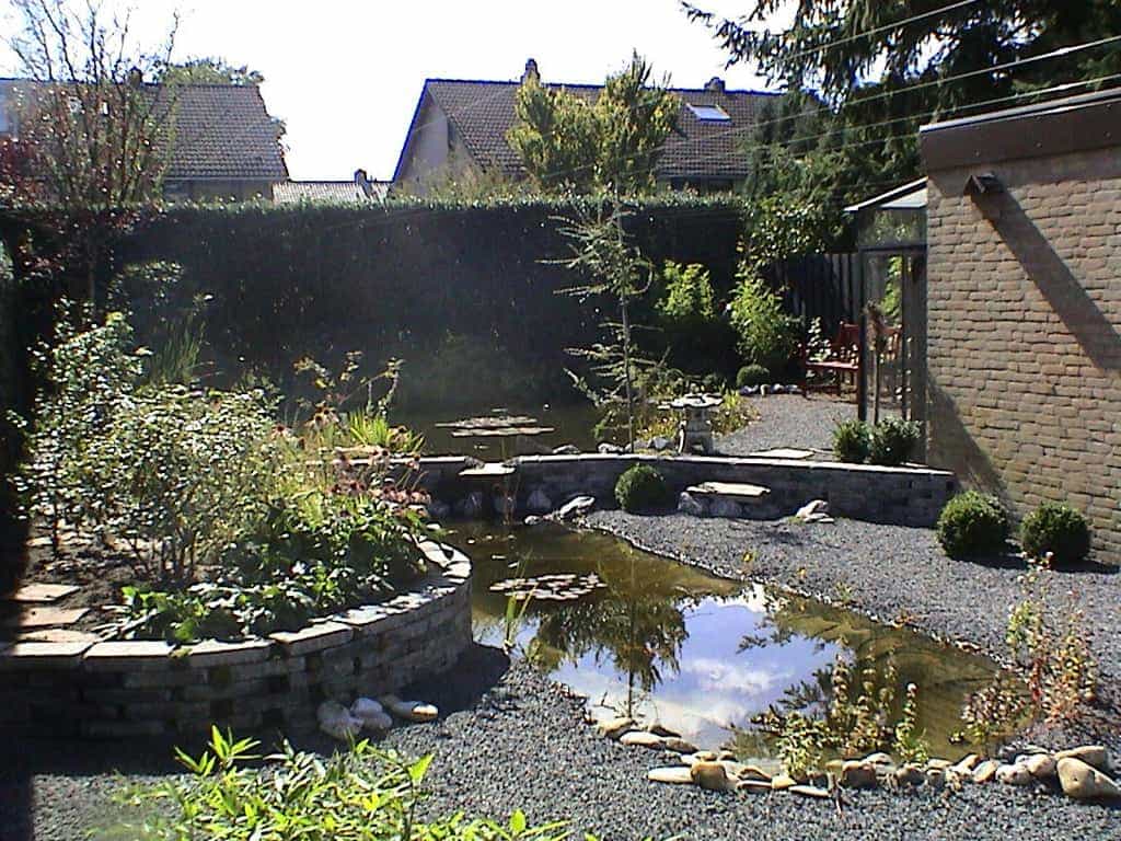 boezer/sfreer volle achtertuin in waalijk met een heldere vijver split en waterplanten