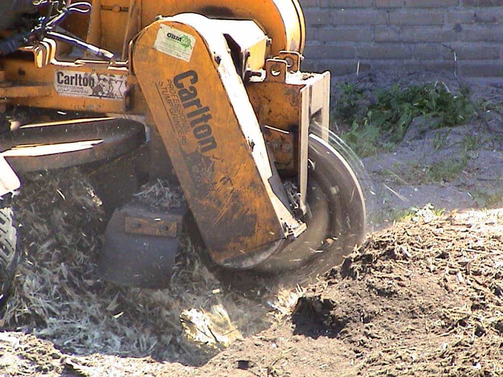 bomen rooien/1 uitfrezen van stronken met een stobbefrees tilburg breda vught udenhout berkel enschot goirle vught denbosch