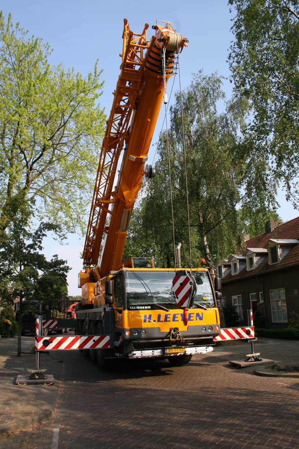bomen rooien/boom boxtel/2 bomen rooien bomen kappen bomen snoeien bomen vellen Boxtel Oosterhout