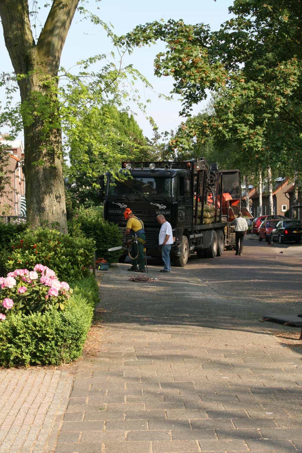 bomen rooien/boom boxtel/4 bomen rooien bomen kappen bomen snoeien bomen vellen hovenier Bladel Geldr-Mierlo Deurne