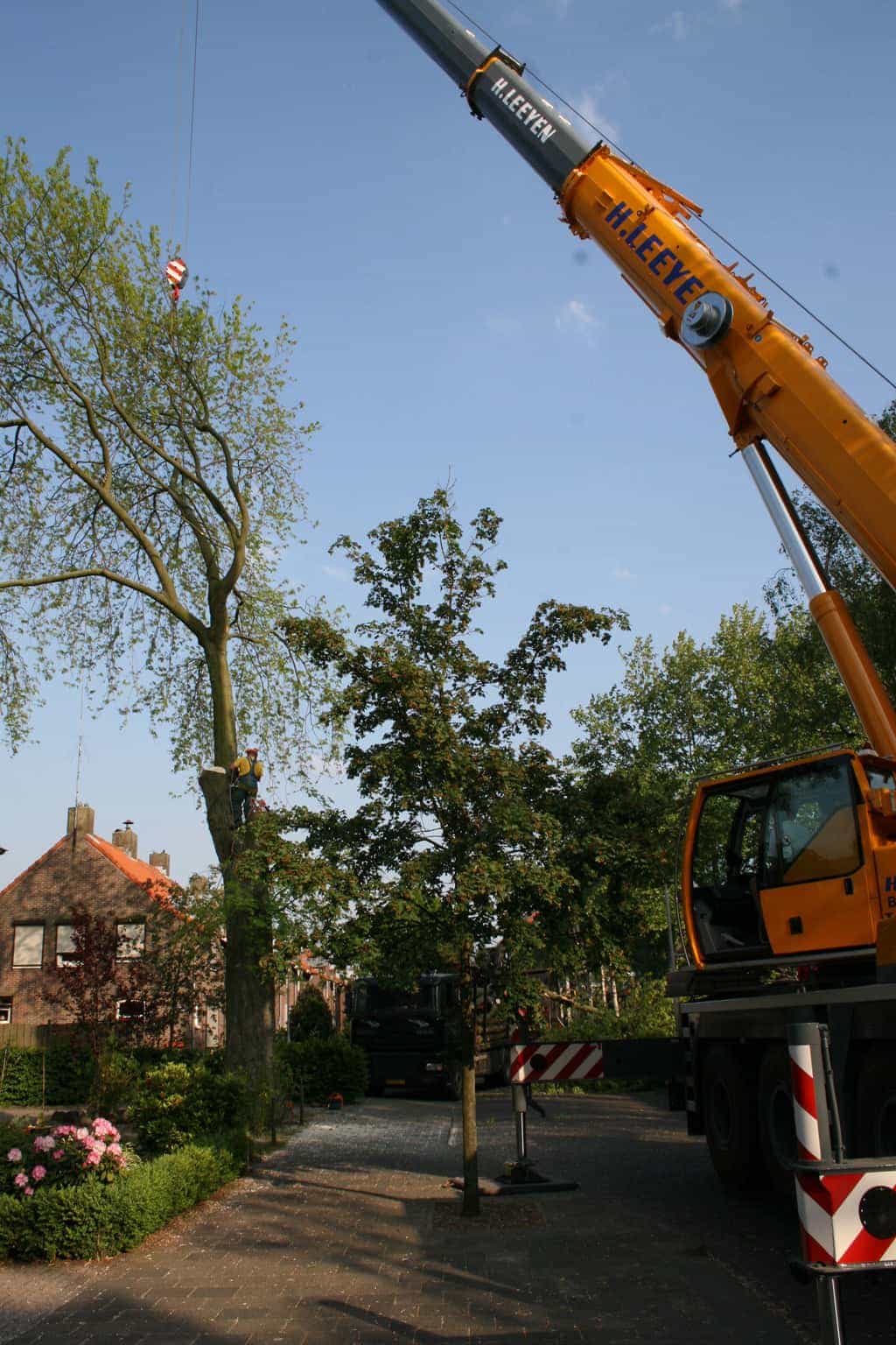 bomen rooien/boom boxtel/IMG_5015.JPG