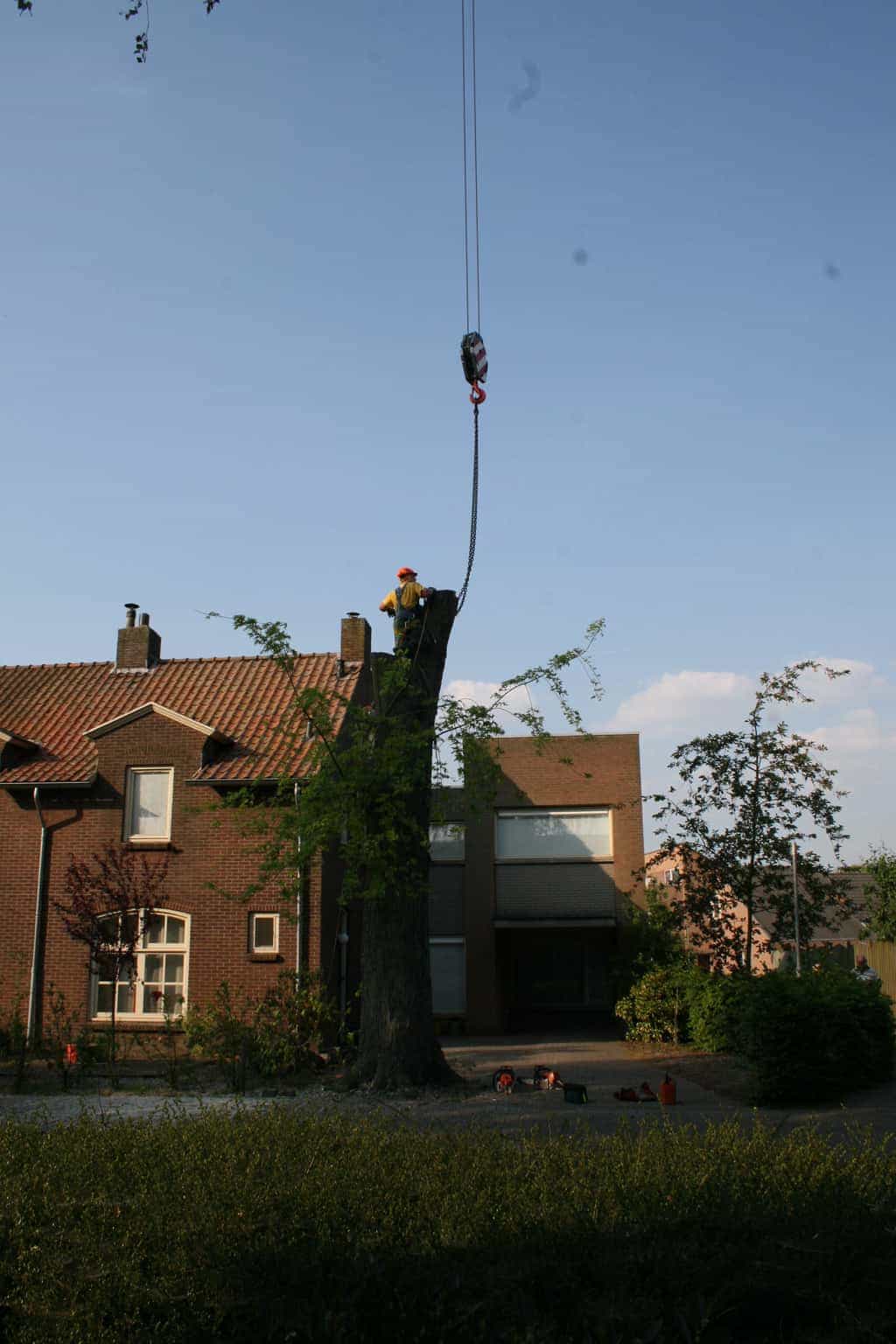 bomen rooien/boom boxtel/IMG_5051.JPG