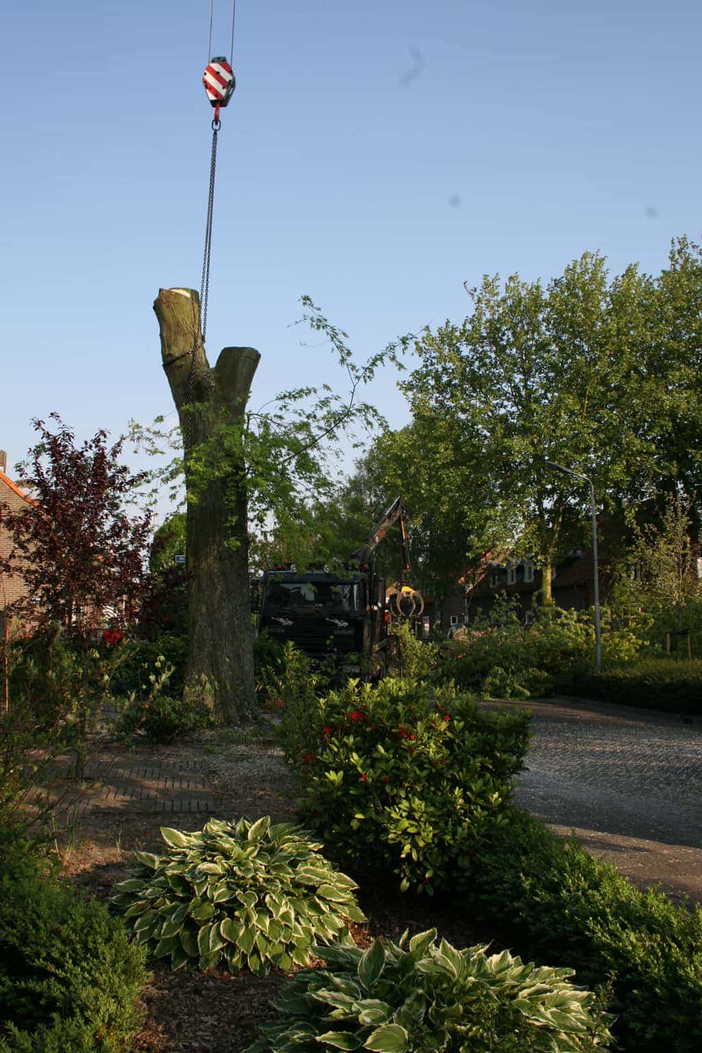 bomen rooien/boom boxtel/IMG_5057.JPG