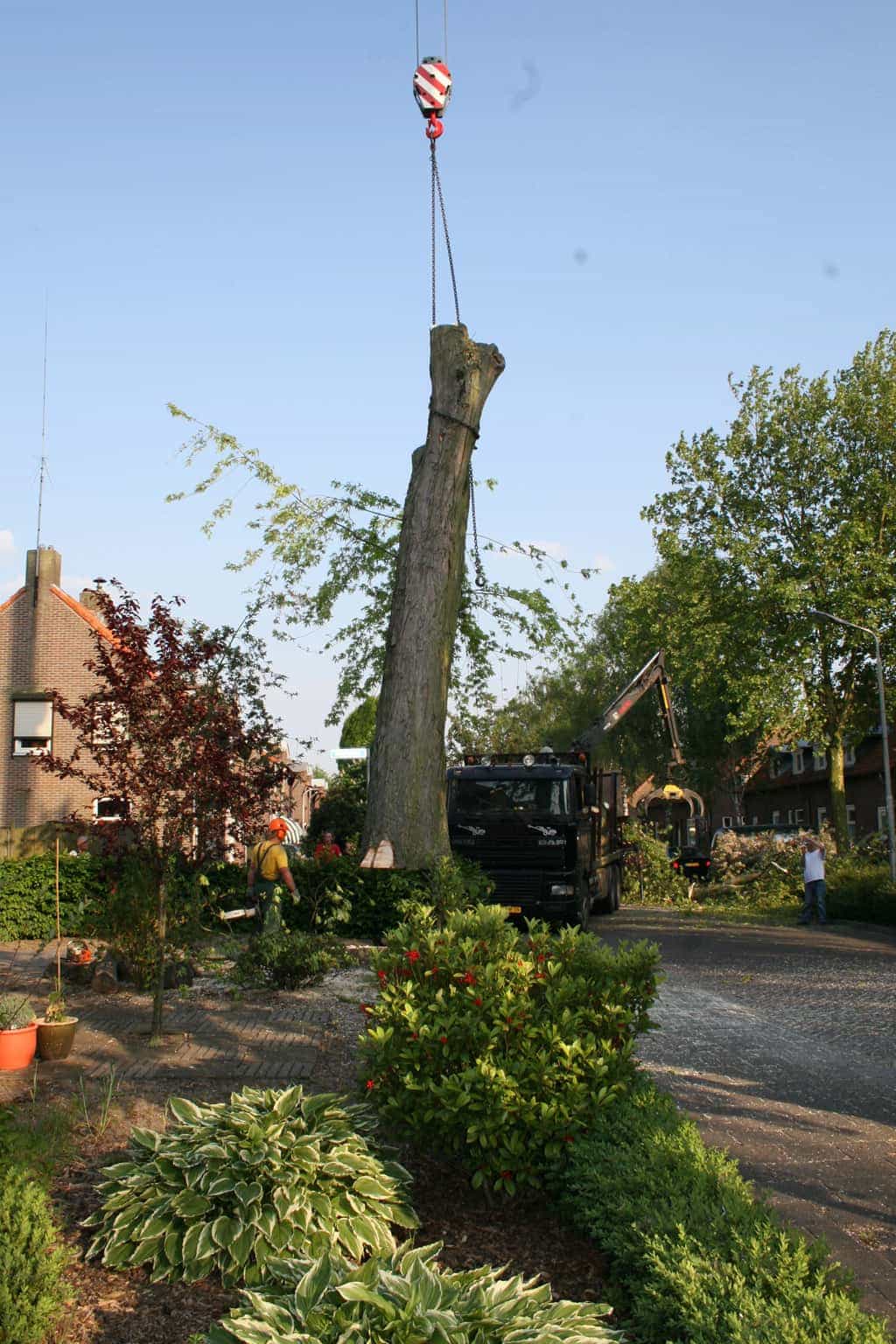 bomen rooien/boom boxtel/IMG_5065.JPG