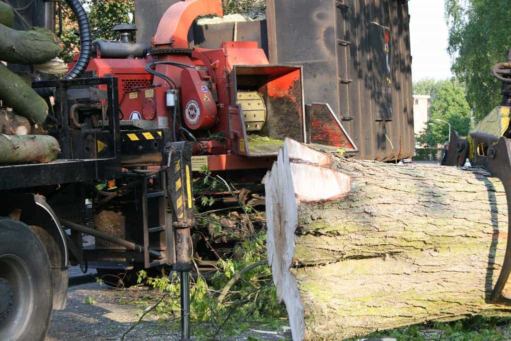 bomen rooien/boom boxtel/IMG_5079.JPG