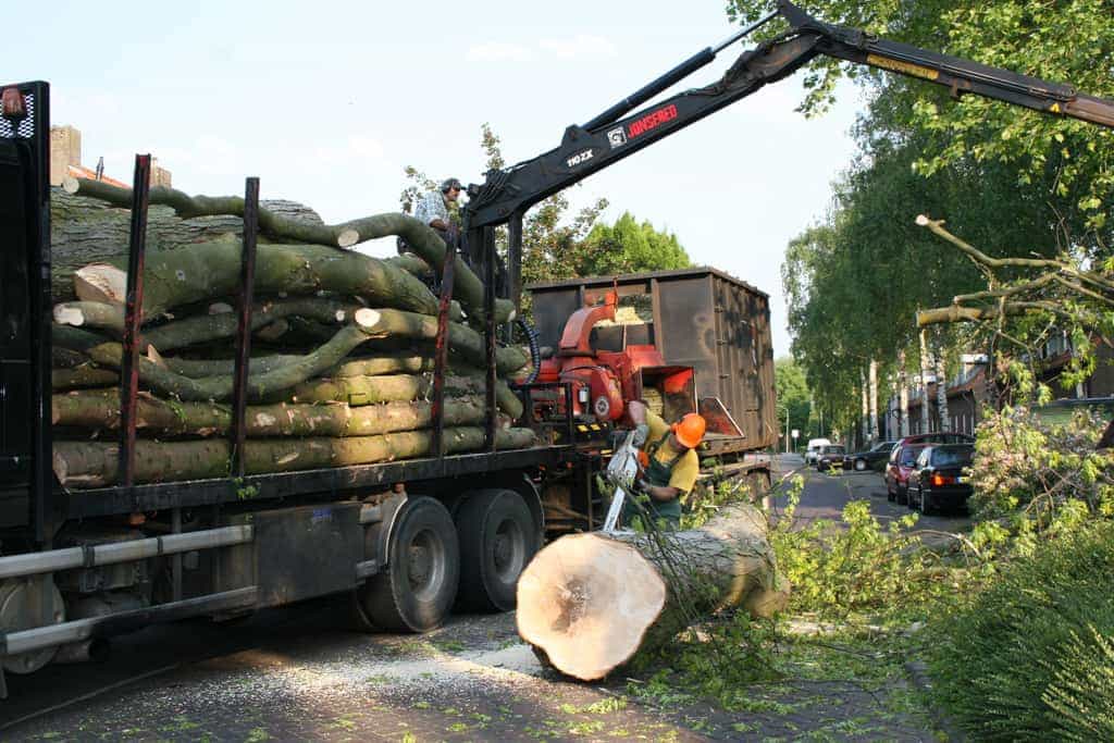 bomen rooien/boom boxtel/IMG_5103.JPG