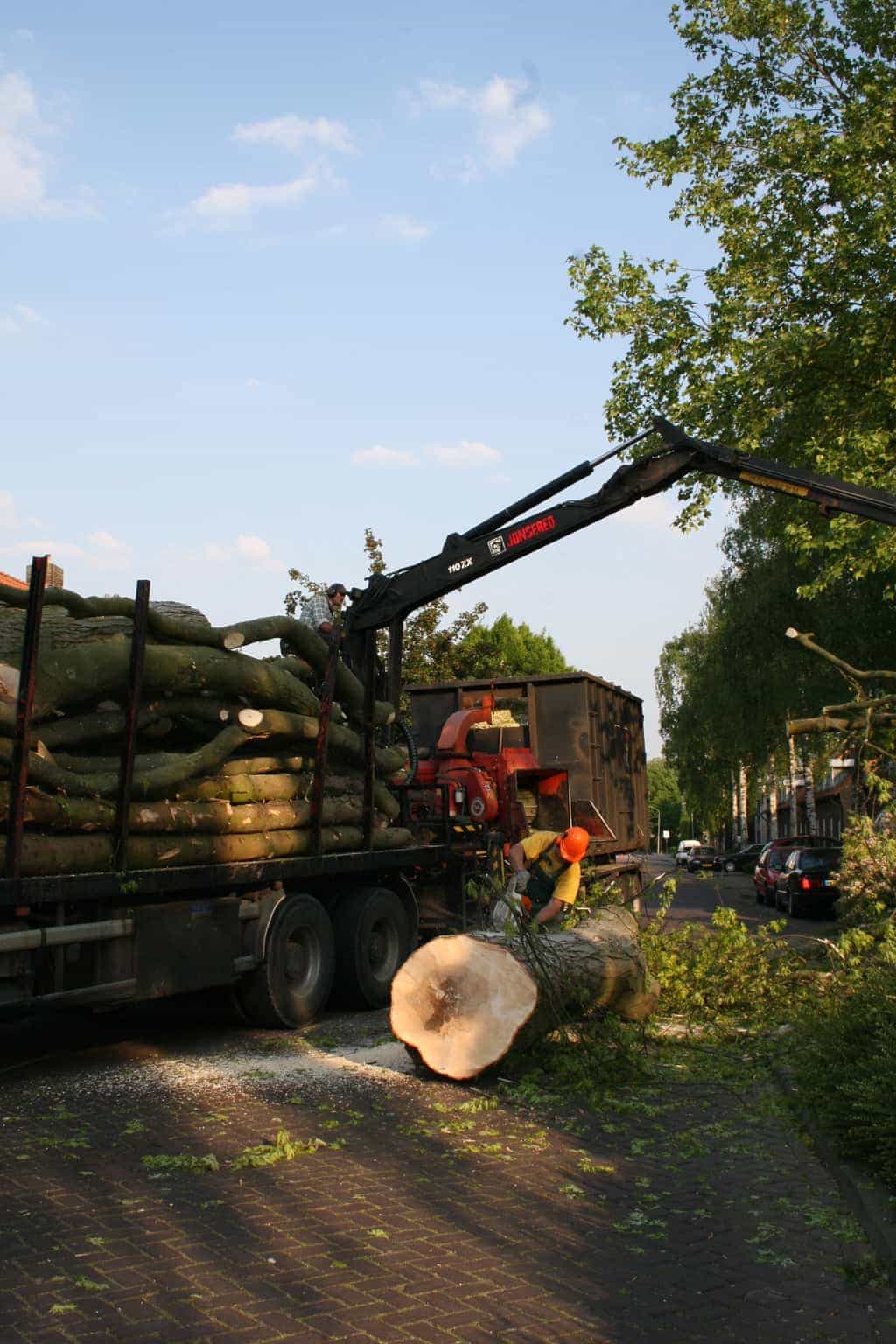 bomen rooien/boom boxtel/IMG_5104.JPG