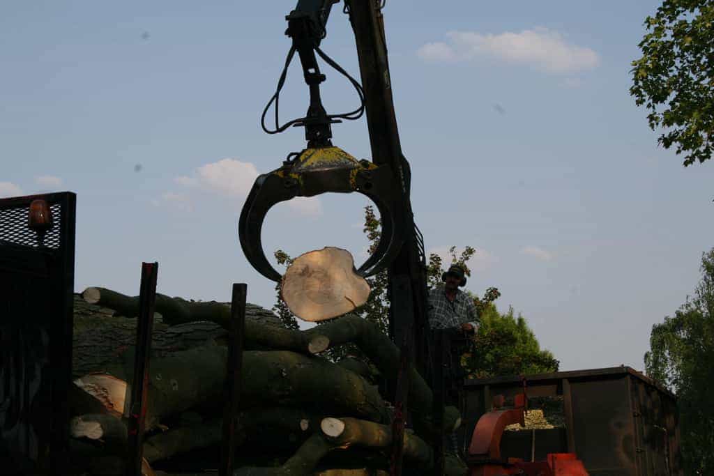 bomen rooien/boom boxtel/IMG_5108.JPG
