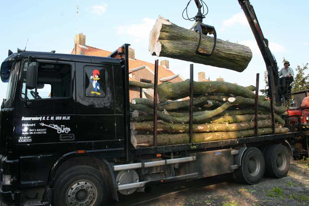 bomen rooien/boom boxtel/www.avanspeldehoveniers.nl1.JPG
