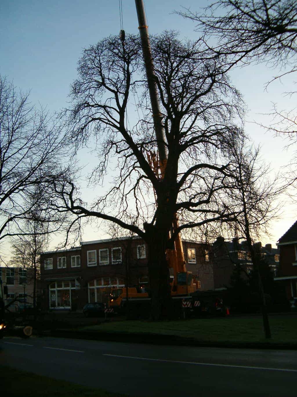 bomen rooien/boom rooien 2/HPIM0553.JPG