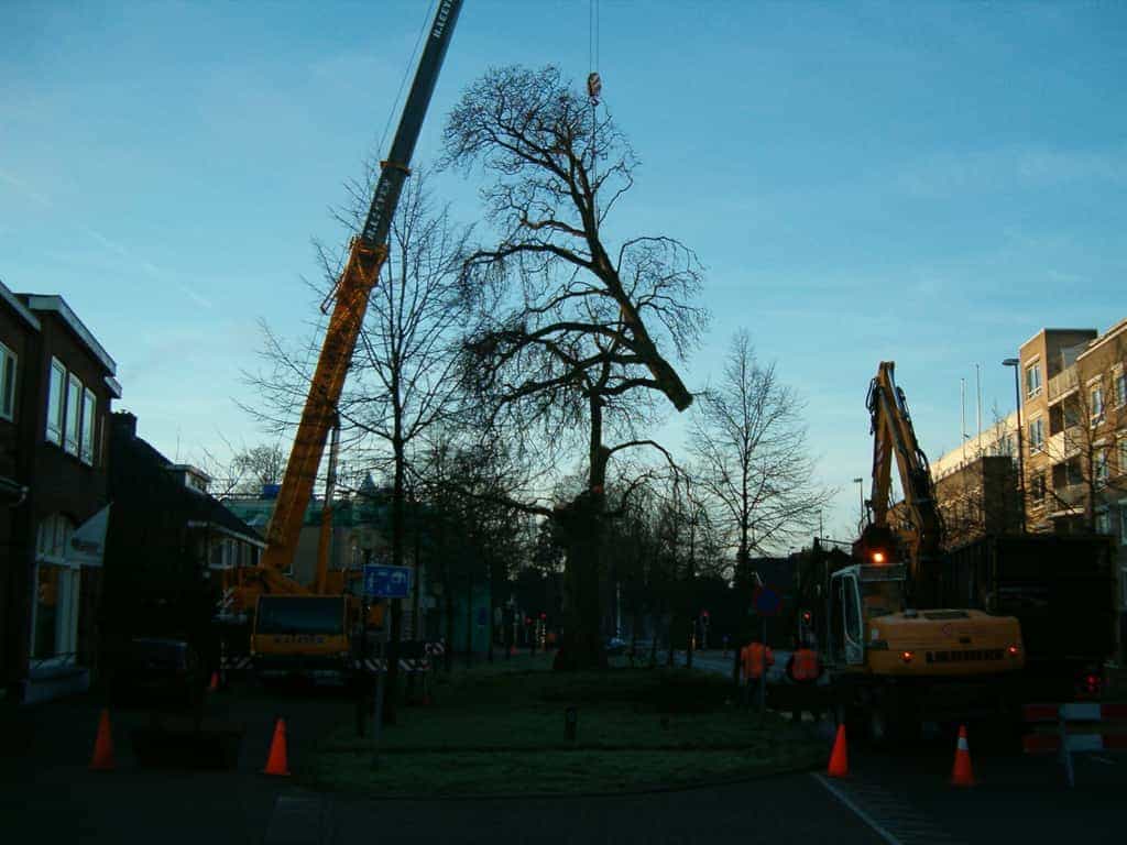 bomen rooien/boom rooien 2/HPIM0558.JPG