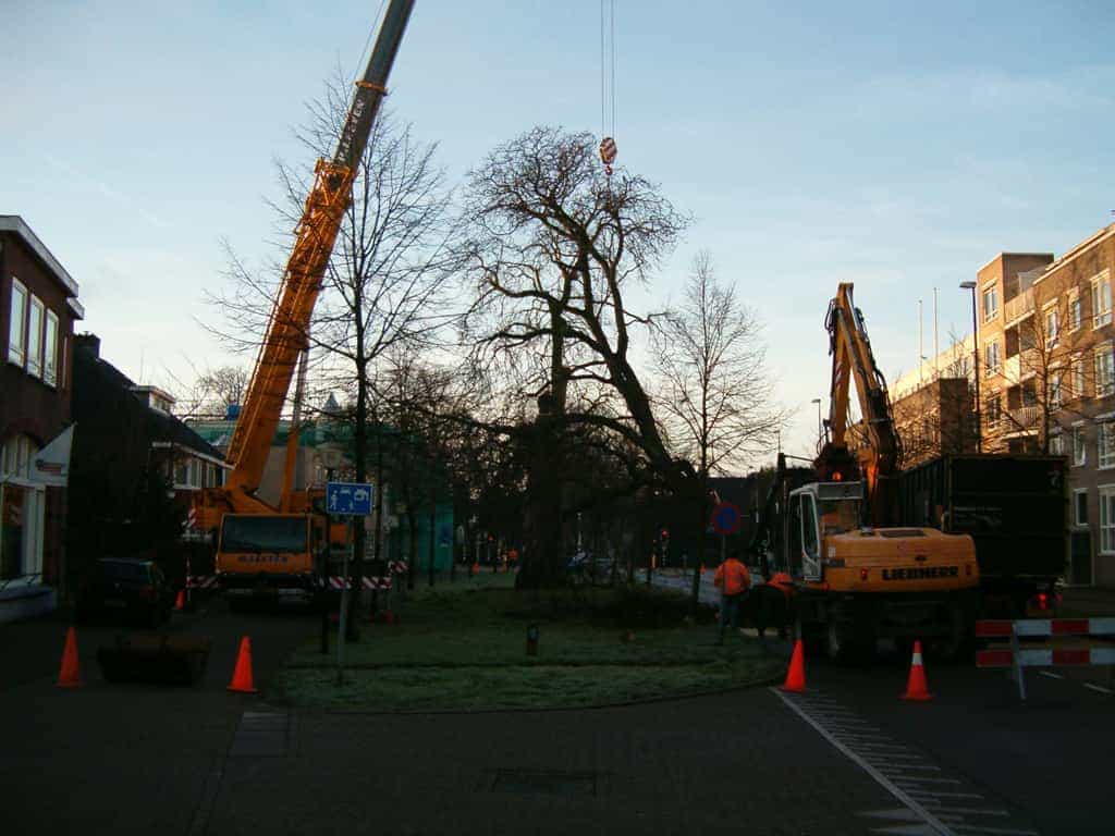 bomen rooien/boom rooien 2/HPIM0559.JPG