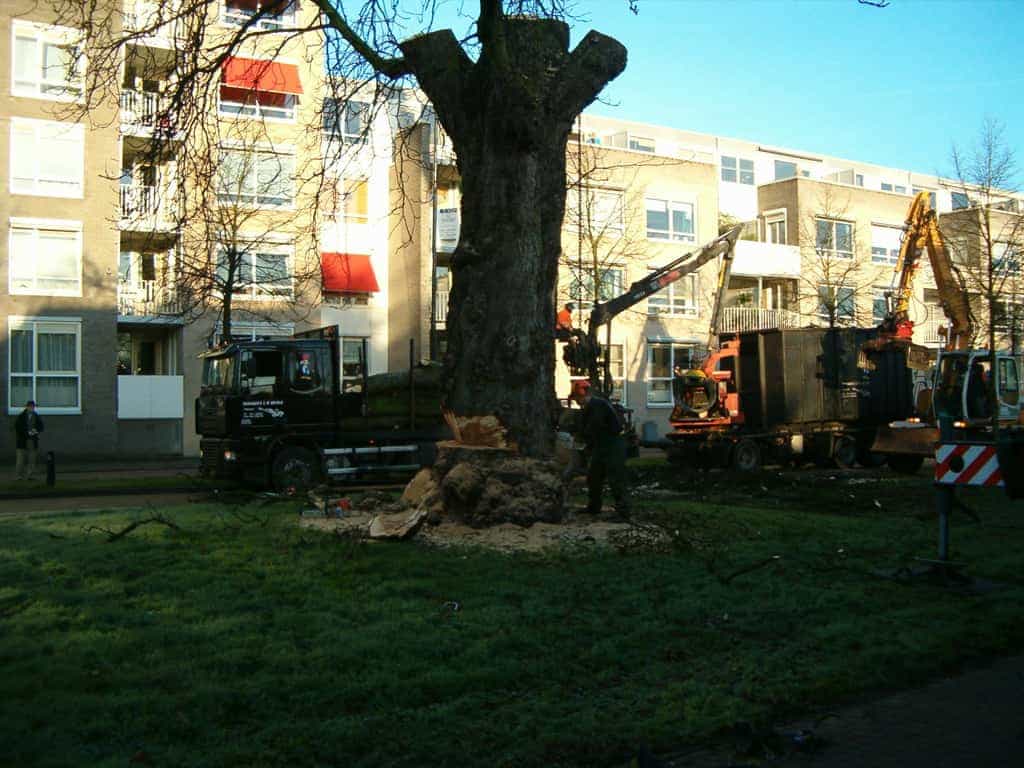 bomen rooien/boom rooien 2/HPIM0561.JPG