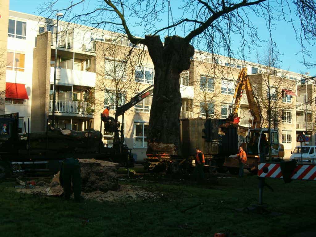 bomen rooien/boom rooien 2/HPIM0563.JPG