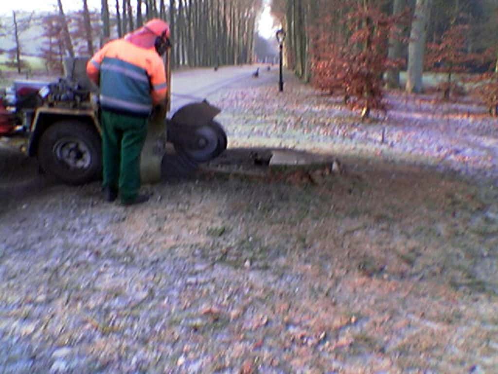 bomen rooien/boom rooien/Afb(66)