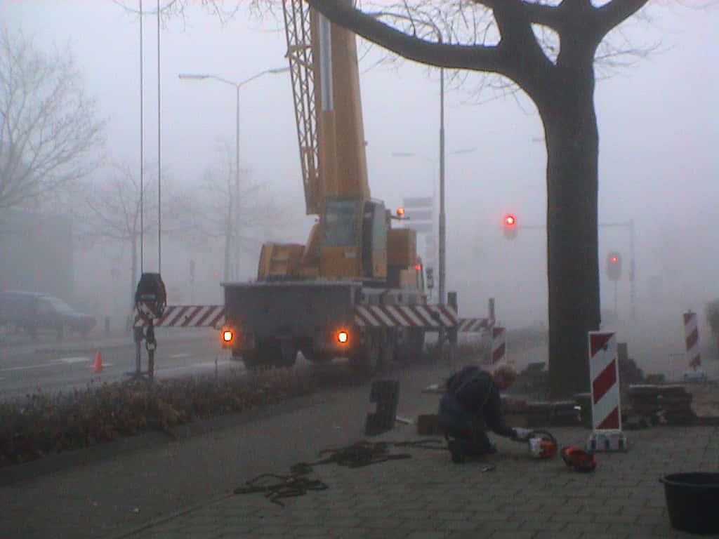 bomen rooien/boom rooien/Nijmegen/DSC01960.JPG