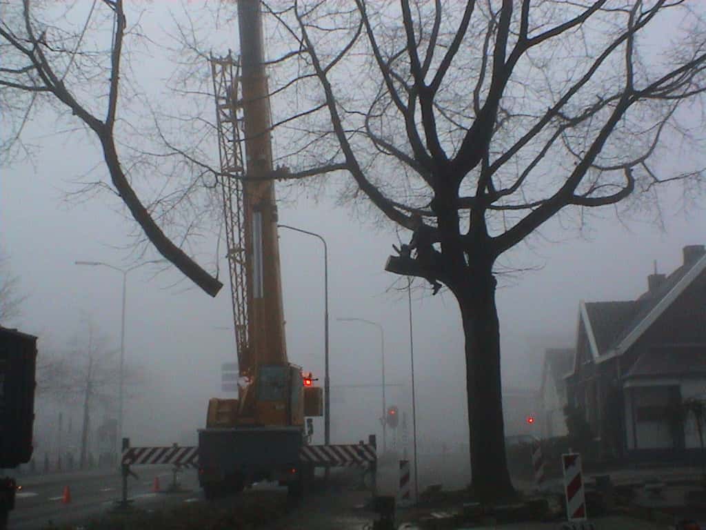 bomen rooien/boom rooien/Nijmegen/DSC01969.JPG