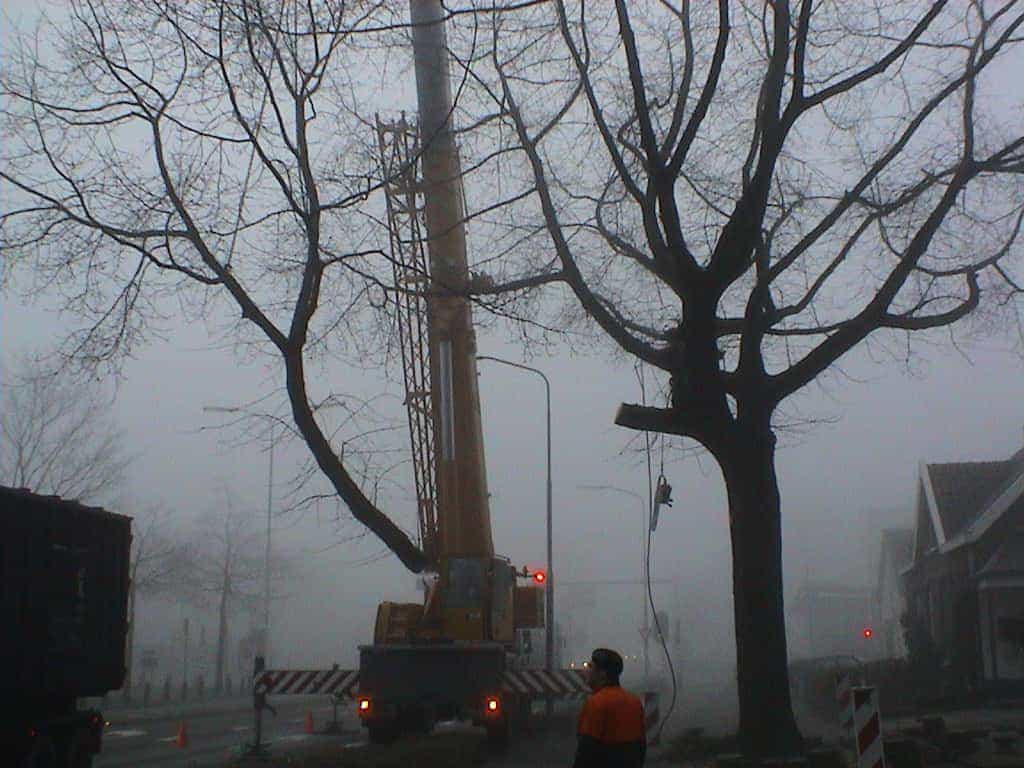 bomen rooien/boom rooien/Nijmegen/DSC01971.JPG
