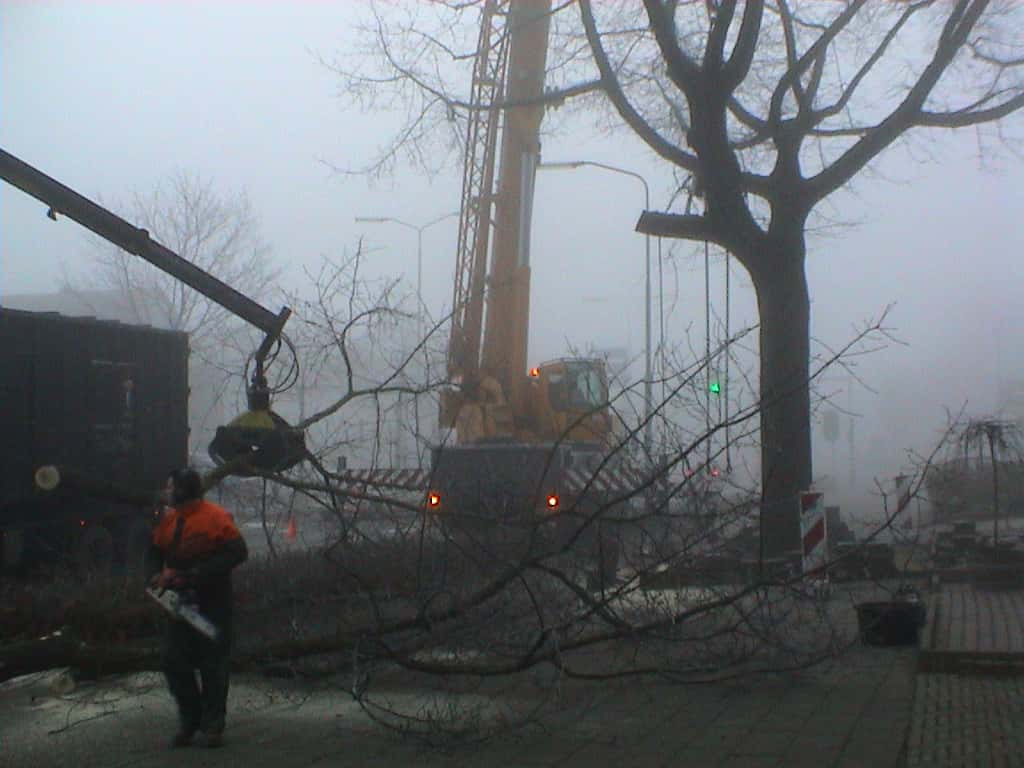 bomen rooien/boom rooien/Nijmegen/DSC01973.JPG