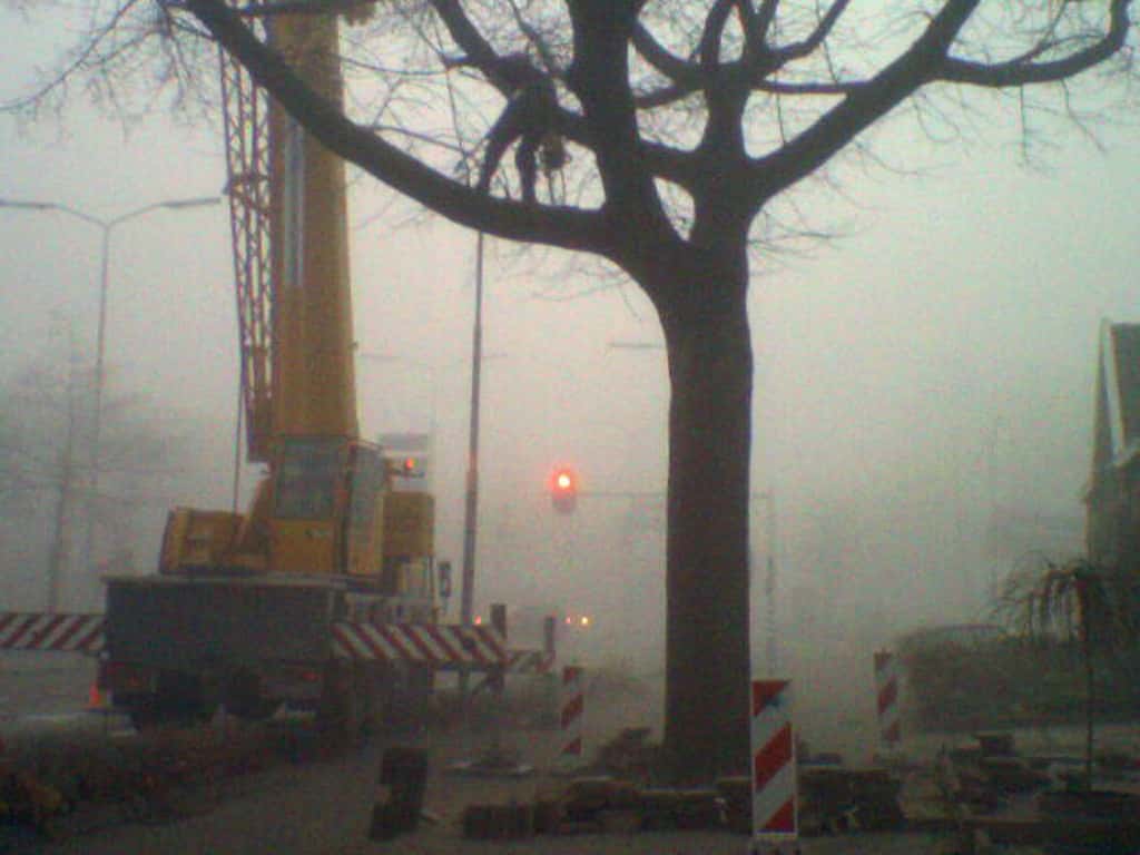 bomen rooien/boom rooien/Nijmegen/SP_A1025