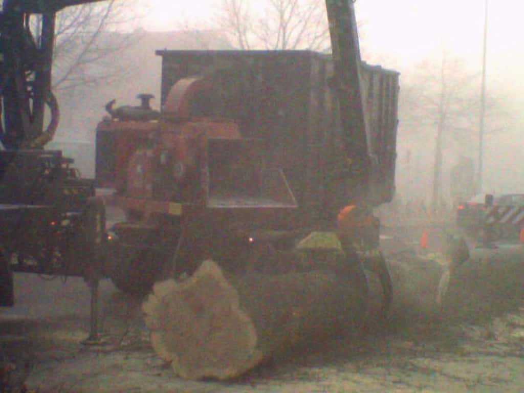 bomen rooien/boom rooien/Nijmegen/opruimen van bomen tilburg waalwijk breda vught ulvenhout