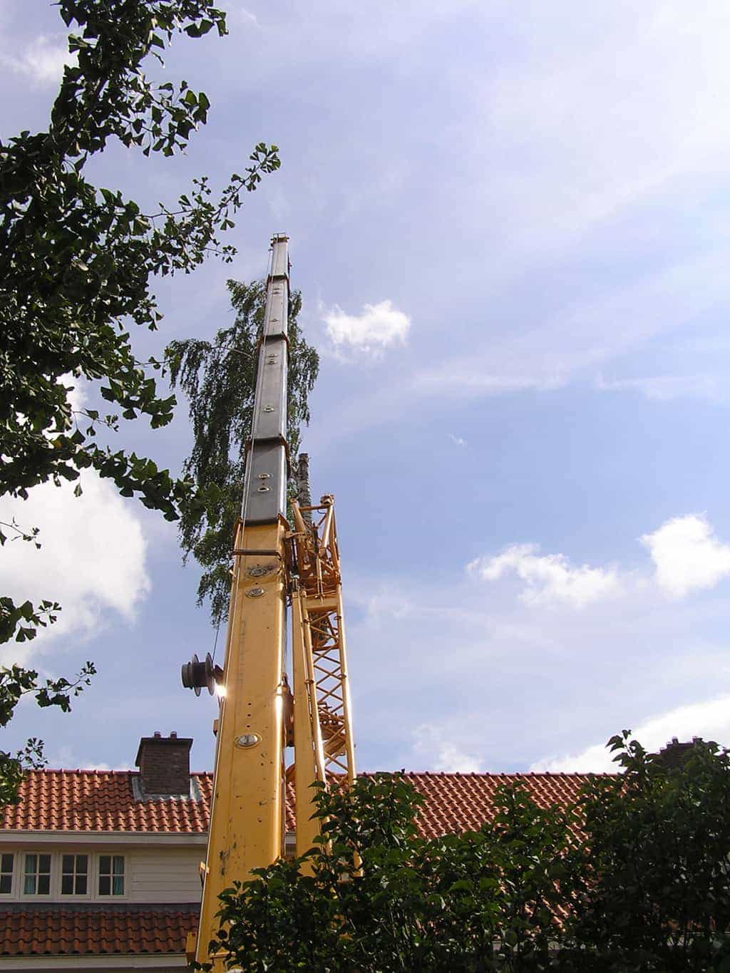 bomen rooien/boom rooien/P4250201.JPG