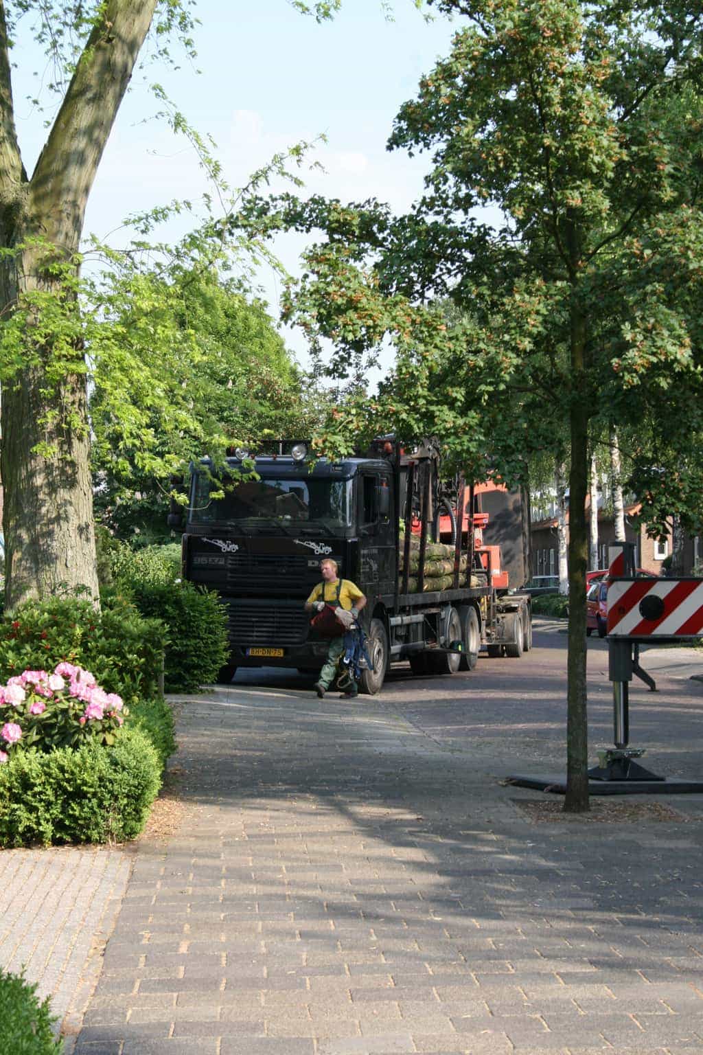 bomen rooien/boom rooien/boom boxtel/IMG_4895.JPG
