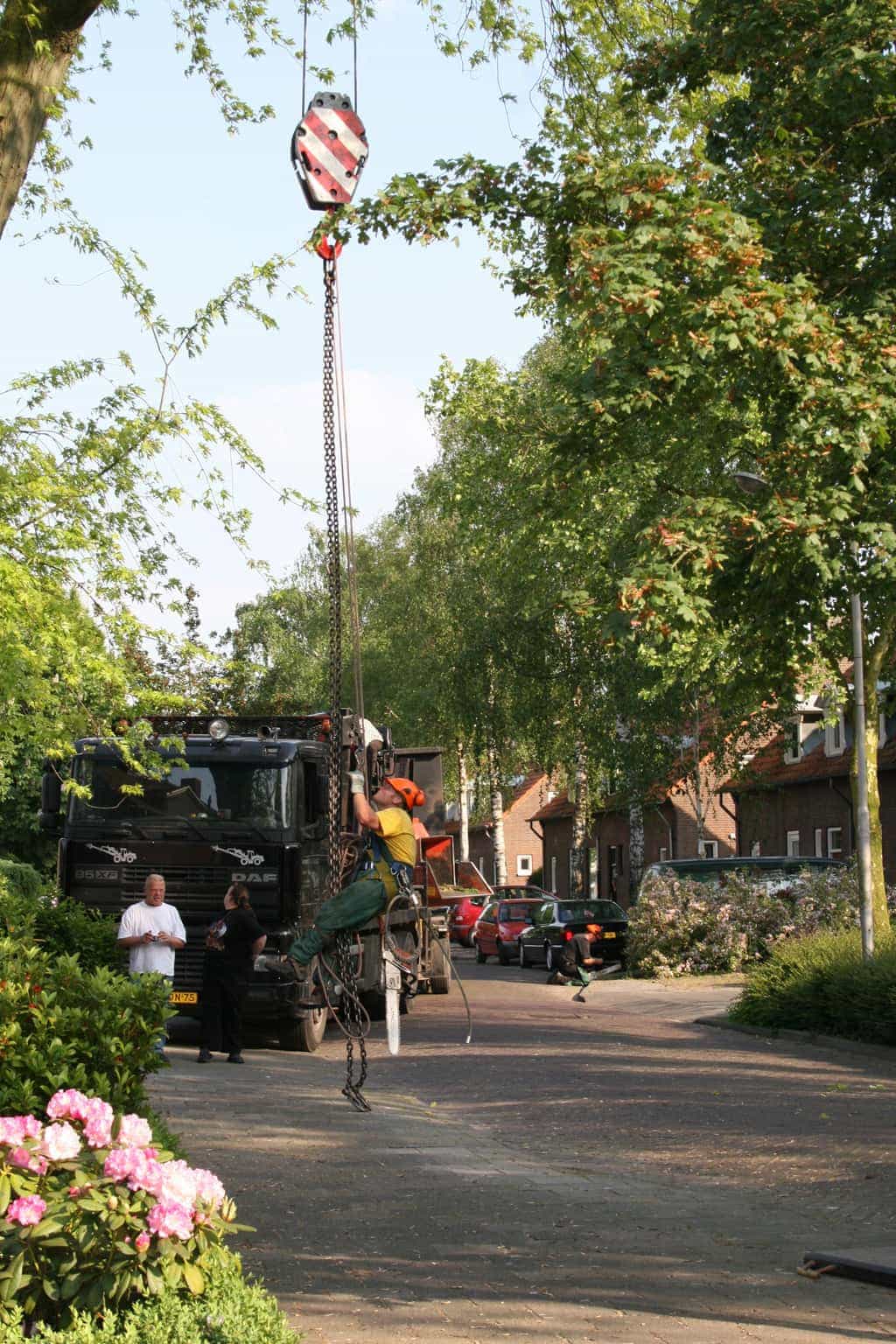 bomen rooien/boom rooien/boom boxtel/IMG_4904.JPG