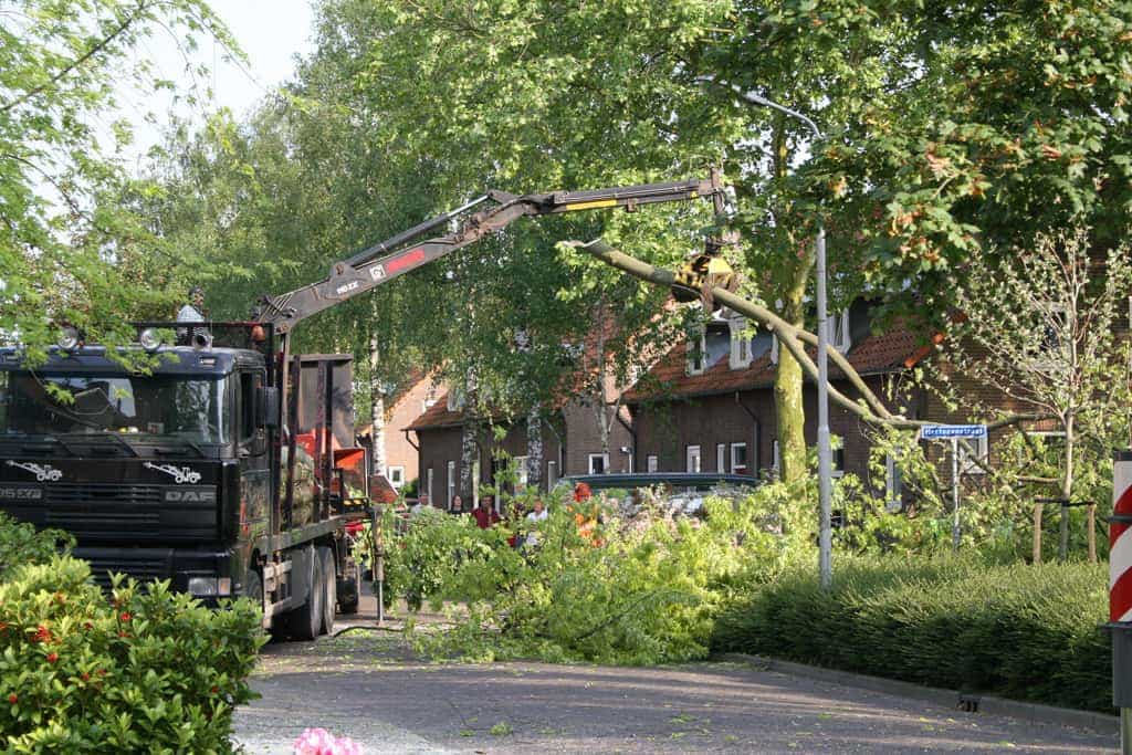 bomen rooien/boom rooien/boom boxtel/IMG_4973.JPG