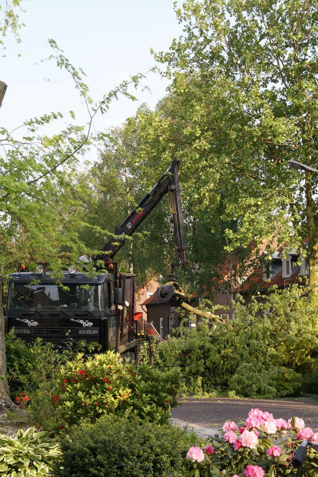 bomen rooien/boom rooien/boom boxtel/IMG_5008.JPG