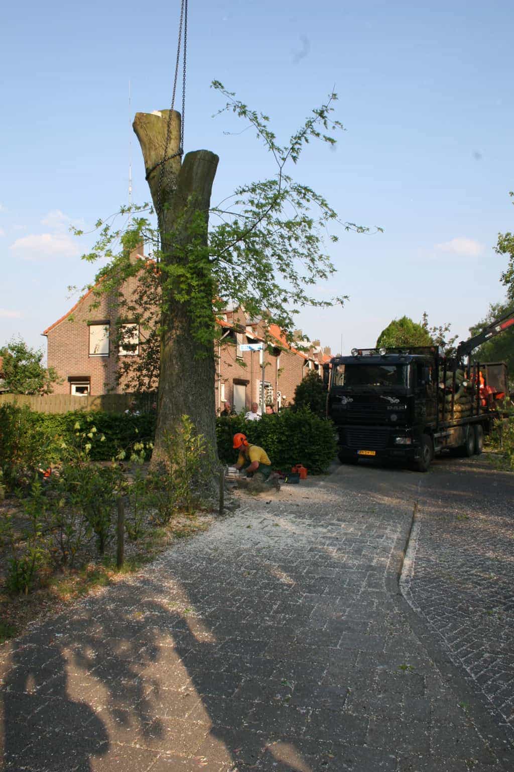 bomen rooien/boom rooien/boom boxtel/IMG_5060.JPG