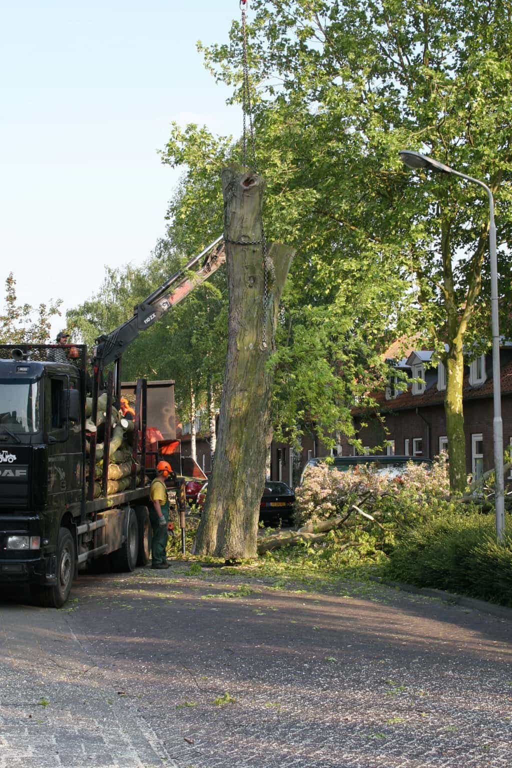 bomen rooien/boom rooien/boom boxtel/IMG_5069.JPG