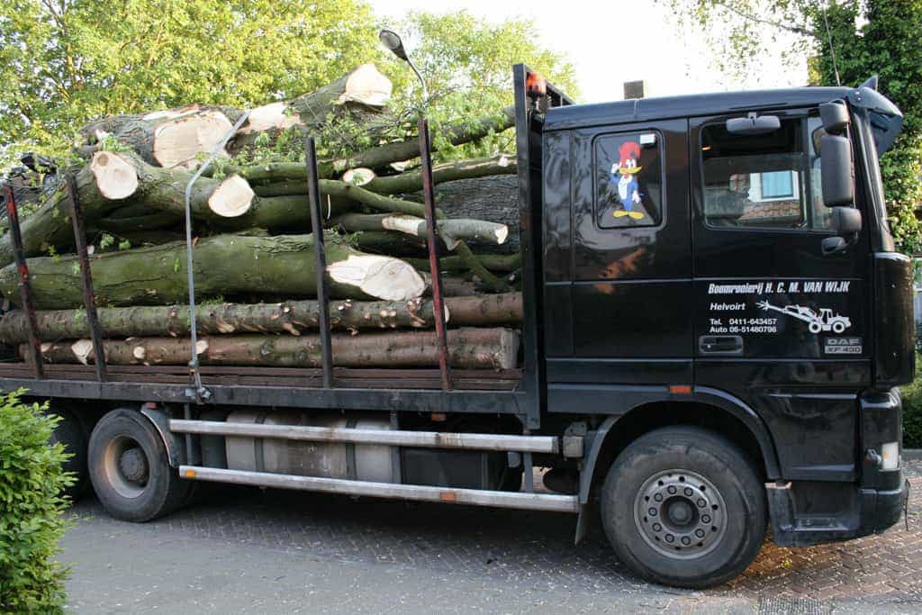 bomen rooien/boom rooien/boom boxtel/IMG_5113.JPG