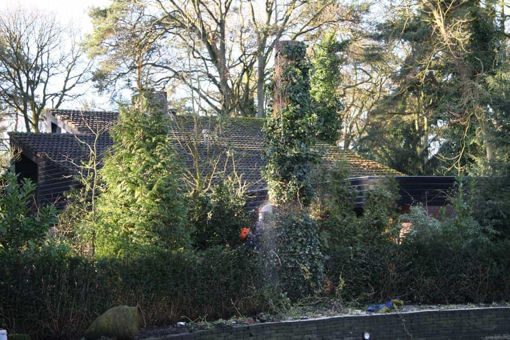 bomen rooien/boom rooien/hoekstra/Afbeelding 060