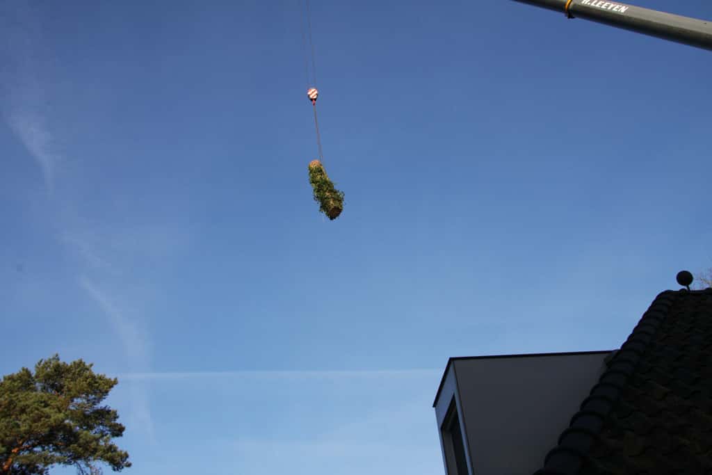 bomen rooien/boom rooien/hoekstra/Afbeelding 067