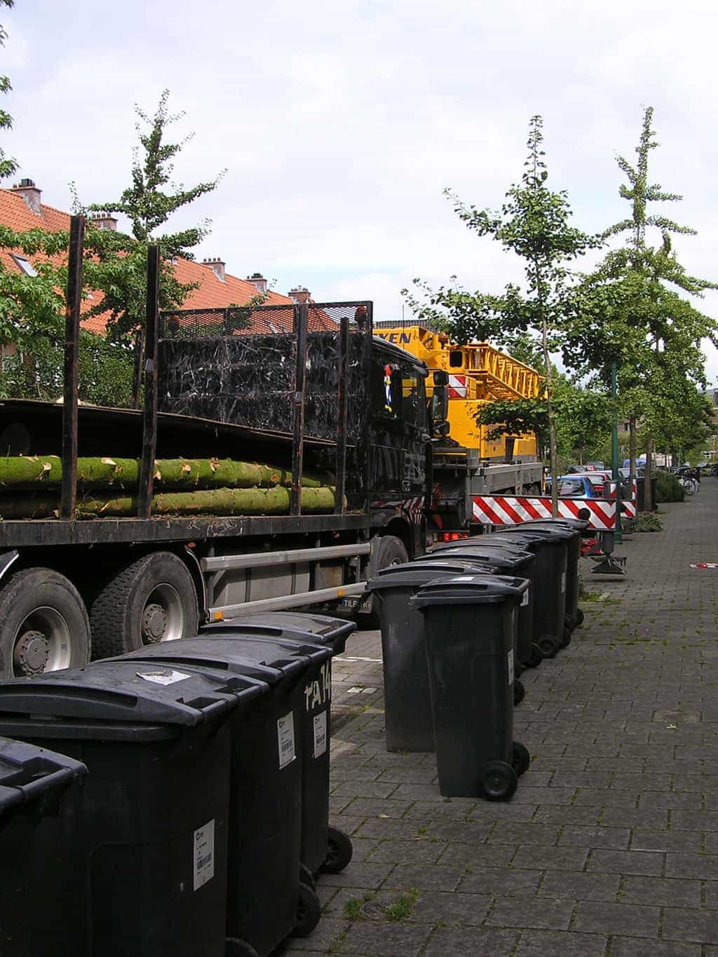 bomen rooien/eindhoven/P4250114.JPG