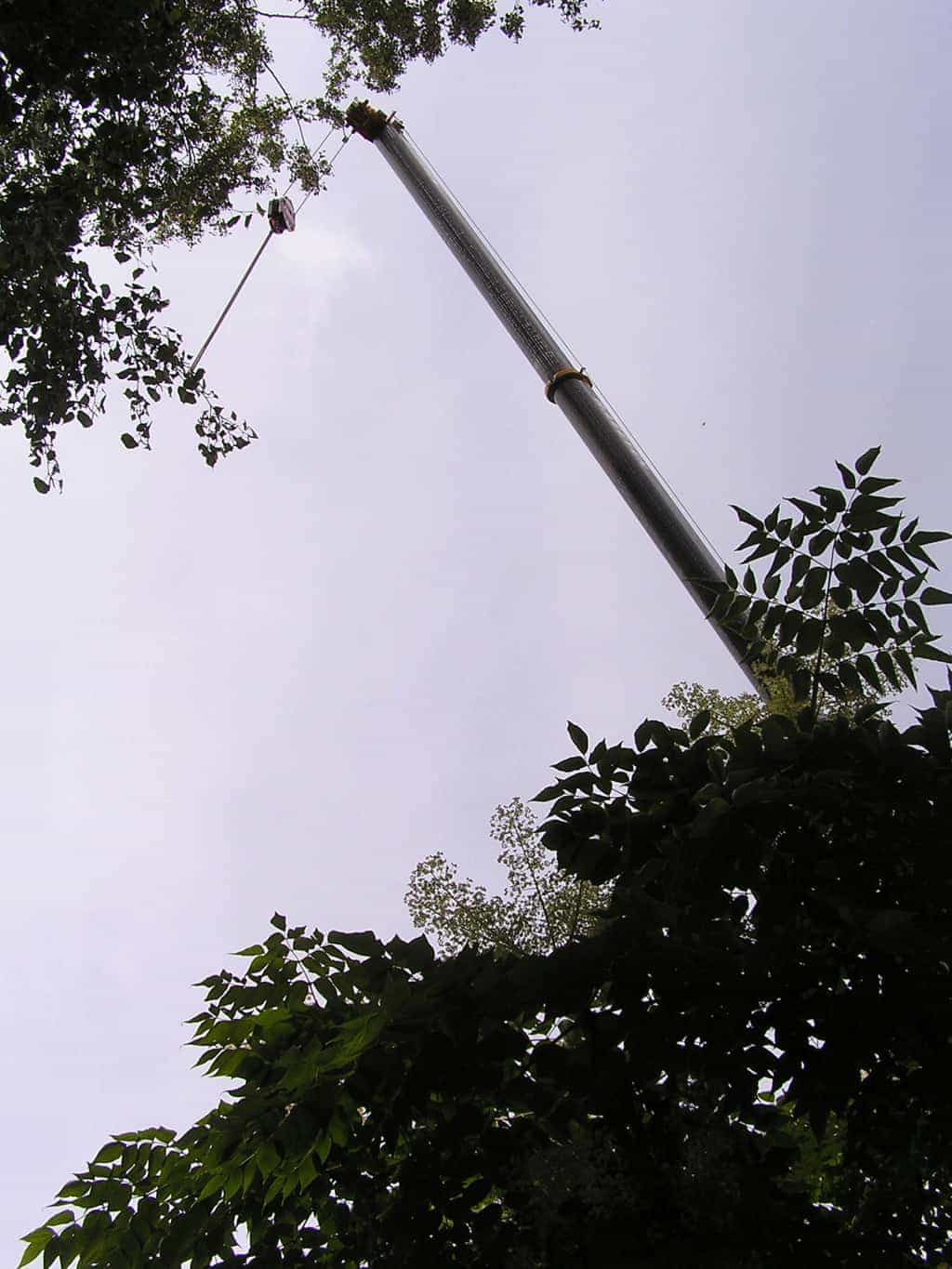 bomen rooien/eindhoven/P4250125.JPG